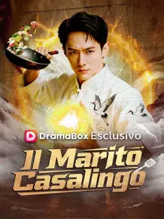 Il Marito Casalingo