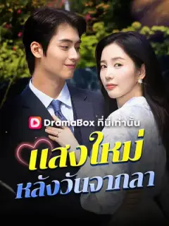 แสงใหม่หลังวันจากลา