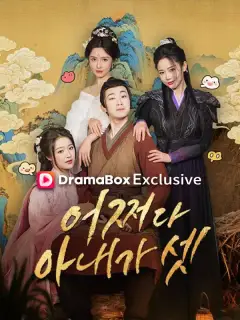 어쩌다 아내가 셋(더빙) 